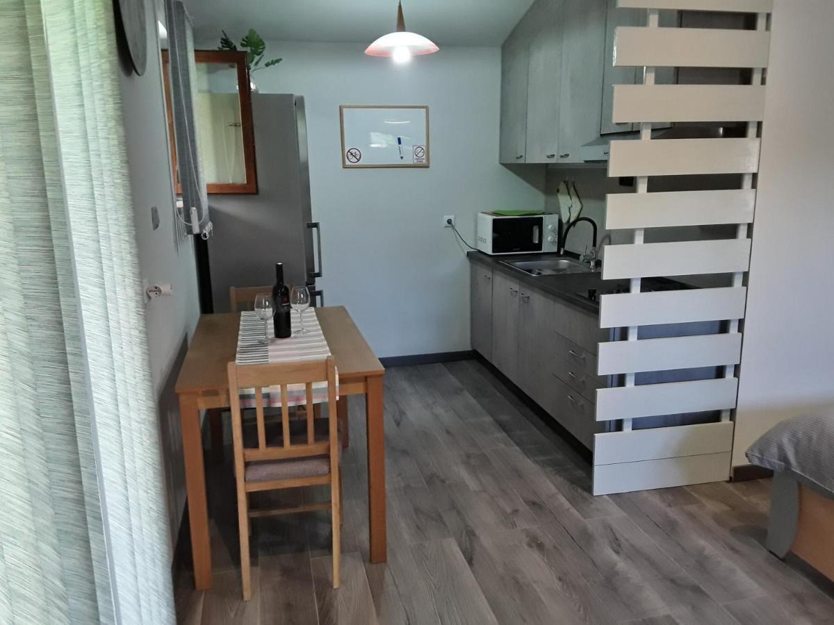 Apartman Studio Erin Rovinj Eksteriør billede